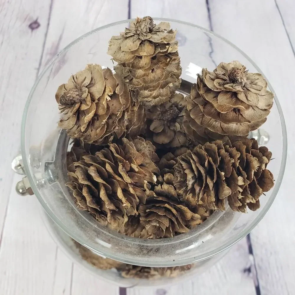 Rustic Nautical Decorative Rope Jar with Mini Pinecones Craft Decor Farm Holiday
